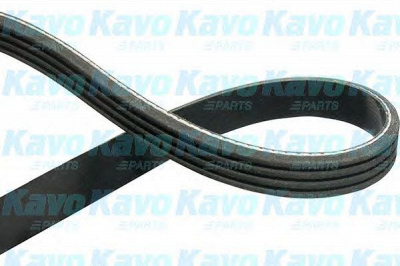 KAVO PARTS dmv3001 -  Поликлиновой ремень